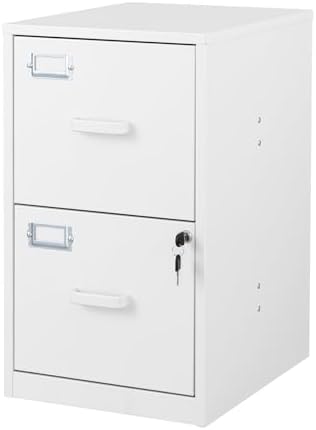 2 Drawer File Cabinet with Lock Vertical Filing Storage Office Home Steel Vertical File Cabinets for Letter Size File Cabinet Locked,Assembly Required by BYNSOE
