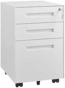 Fully Assembled Home Office Filing Cabinet with Lock by Approgreent