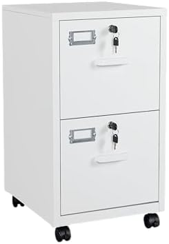 2 Drawers File Cabinet with Lock Metal Vertical File Cabient with Wheels Mobile File Cabinet for Office Home Legal/Letter/a4 Size Require Assembly by BYNSOE