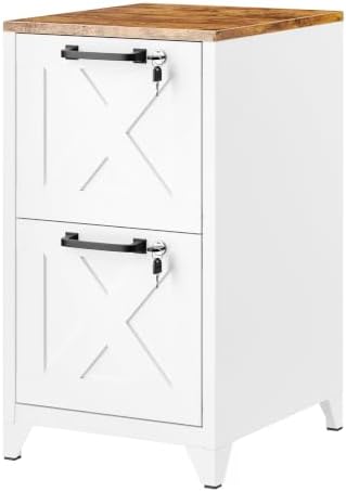File Cabinet with Lock Vertical Filing Storage Cabinet Office Home Steel for Letter Size File Cabinet Locked,Assembly Required by BYNSOE