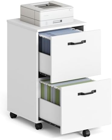 VASAGLE 2-Drawer File Cabinet, Small Rolling Filing Cabinet by VASAGLEbySONGMICSHOME