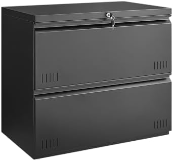 2 Drawer File Cabinet, File Cabinets for Home Office, Printer Stand, File Cabinet with Lock, Lateral Filing Cabinet for A4/Letter/Legal Size File Folders, Assembly Required(Black) by Approgreent