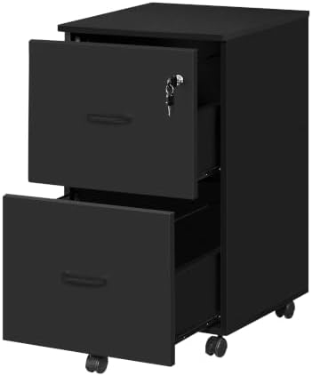 VASAGLE 2-Drawer File Cabinet, Small Rolling, Locking, Printer Stand by VASAGLEbySONGMICSHOME