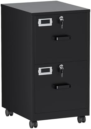2 Drawers File Cabinet with Lock Metal Vertical File Cabient with Wheels Mobile File Cabinet for Office Home Legal/Letter/a4 Size Require Assembly by BYNSOE