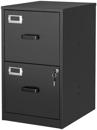 2 Drawer File Cabinet with Lock Vertical Filing Storage Cabinet Office Home Steel Vertical File Cabinets for Letter Size File Cabinet Locked,Assembly Required by BYNSOE