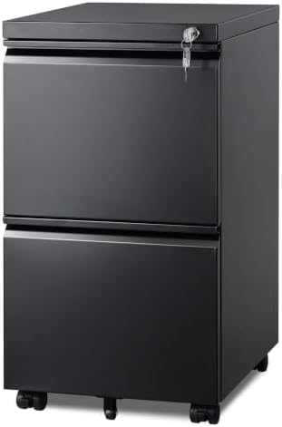 DEVAISE 2 Drawer Mobile File Cabinet, Fully Assembled by DEVAISE