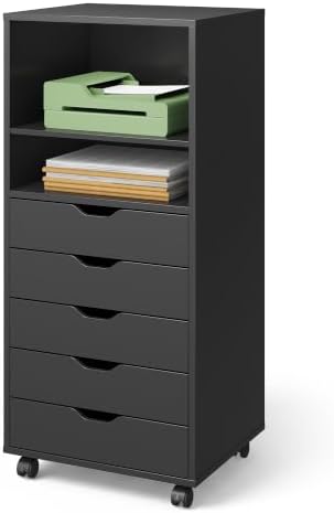 DEVAISE Mobile Drawer Cabinet for Home Office (Black, 15.7"D x 18.7"W x 41.2"H) by DEVAISE