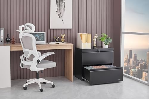 2 Drawer File Cabinet, Lateral File Cabinet with Lock, Printer Stand, Heavy Duty Office Storage Cabinet, Filing Cabinets for Home Office, A4/Letter/Legal Size, Assembly Required(Black) - Image 2