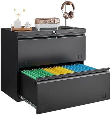 2 Drawer File Cabinet, Lateral File Cabinet with Lock, Printer Stand, Heavy Duty Office Storage Cabinet, Filing Cabinets for Home Office, A4/Letter/Legal Size, Assembly Required(Black) by GUIZEEOPO