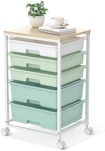 Rolling Cart with Drawers,5 Drawers Storage Cart,Light Green by SYKIARIOL