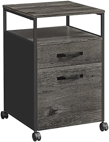 VASAGLE 2 Drawer File Cabinet, Rolling Printer Stand by VASAGLEbySONGMICSHOME