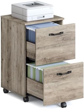 VASAGLE 2-Drawer File Cabinet, Small Rolling Filing Cabinet by VASAGLEbySONGMICSHOME