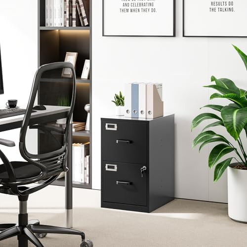 2 Drawer File Cabinet with Lock Vertical Filing Storage Cabinet Office Home Steel Vertical File Cabinets for Letter Size File Cabinet Locked,Assembly Required - Image 5