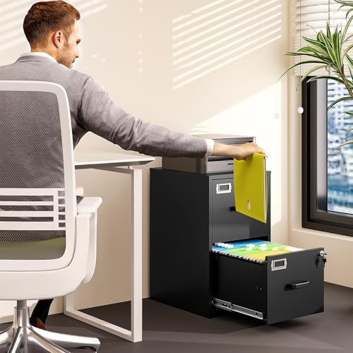 2 Drawer File Cabinet with Lock Vertical Filing Storage Cabinet Office Home Steel Vertical File Cabinets for Letter Size File Cabinet Locked,Assembly Required - Image 2
